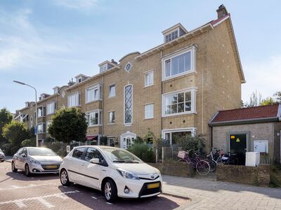 Dovenetelweg 73, Den Haag