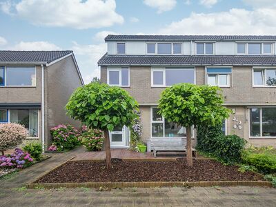 Noardwâl 7, Grou